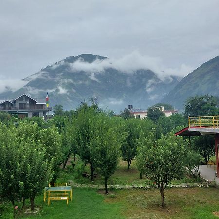 Gazing Moon Homestay Shamshi Eksteriør billede