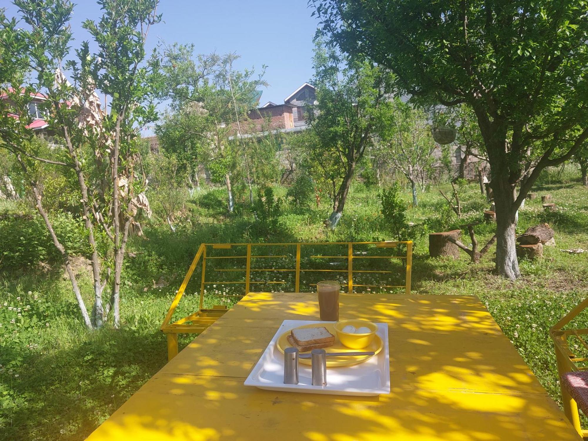 Gazing Moon Homestay Shamshi Eksteriør billede