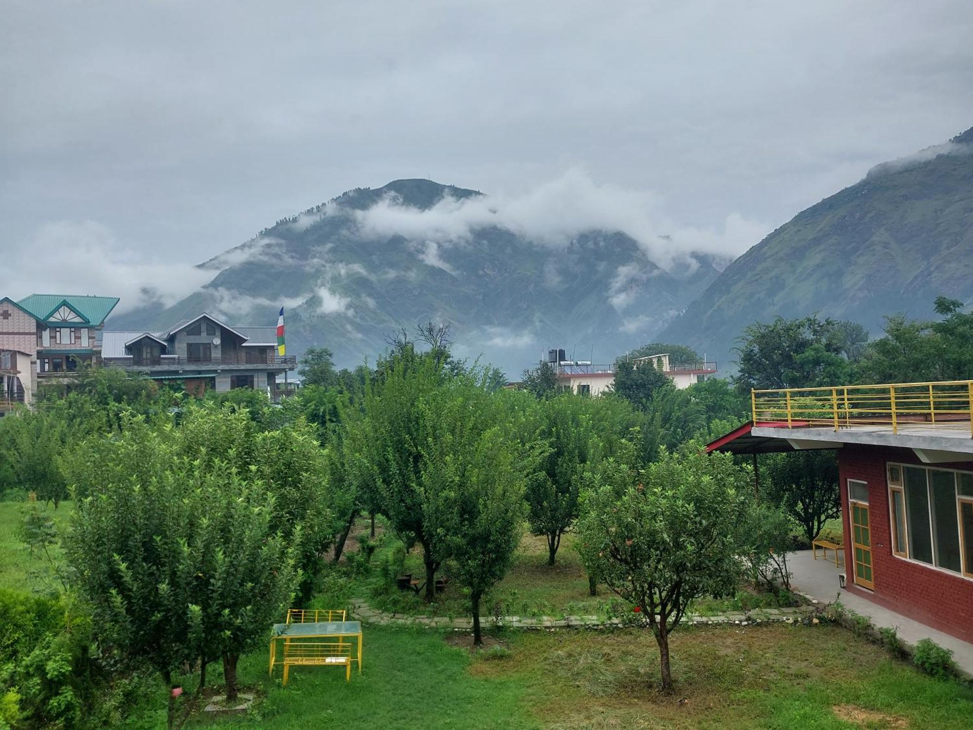 Gazing Moon Homestay Shamshi Eksteriør billede